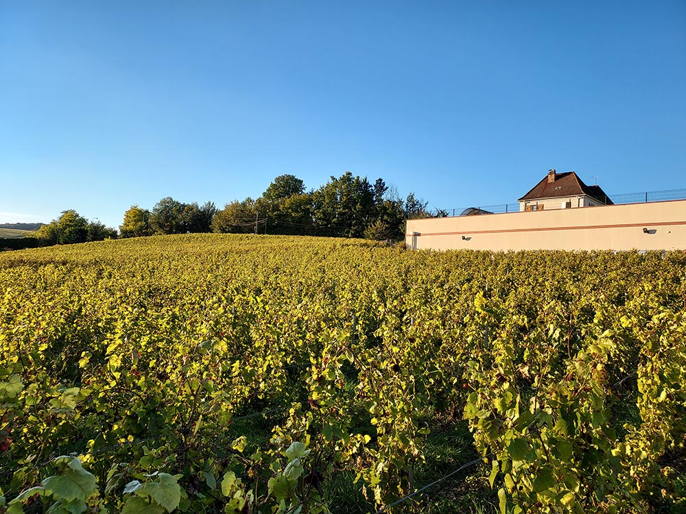 Maison de Champagne Aisne