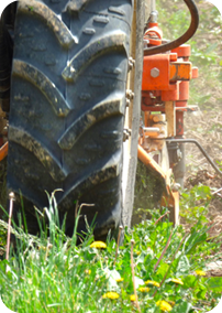 Les Travaux de la Vigne